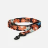 Renee Pet Lead Large