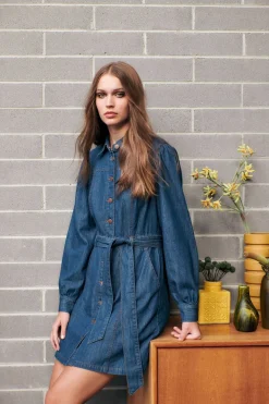 Tansy Ls Mini Dress